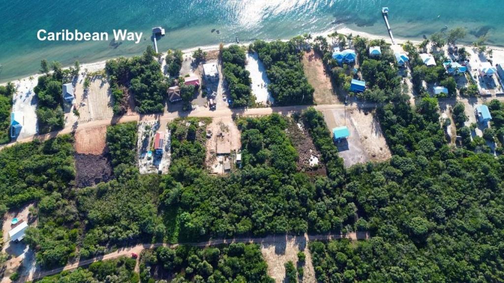 listing image with ID 67799