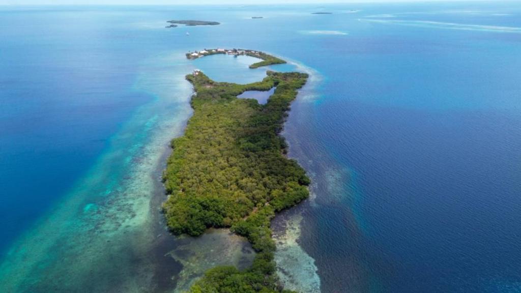 listing image with ID 66866