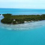 listing image thumbnail with ID 65397