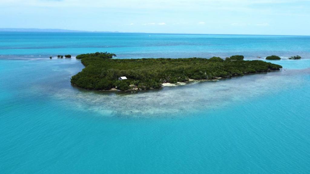 listing image with ID 65397