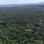 listing image thumbnail with ID 66152