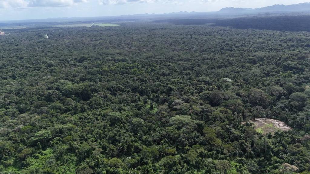 listing image with ID 66152