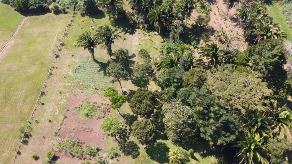 listing image with ID 64937