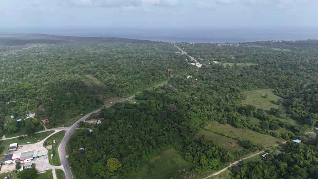 listing image with ID 65419