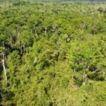 listing image thumbnail with ID 63952