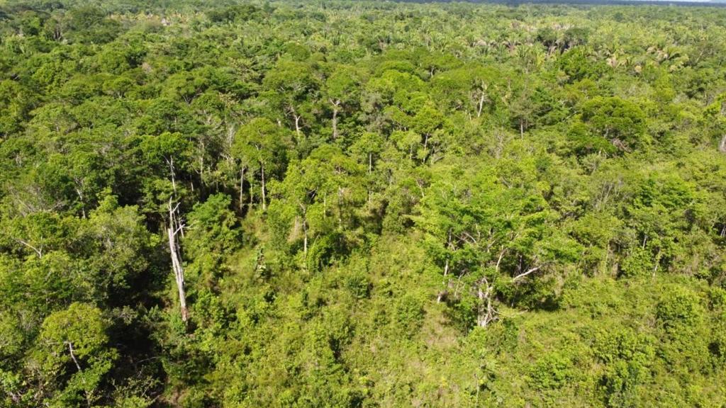 listing image with ID 63952