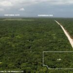 listing image thumbnail with ID 69321