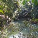 listing image thumbnail with ID 65529