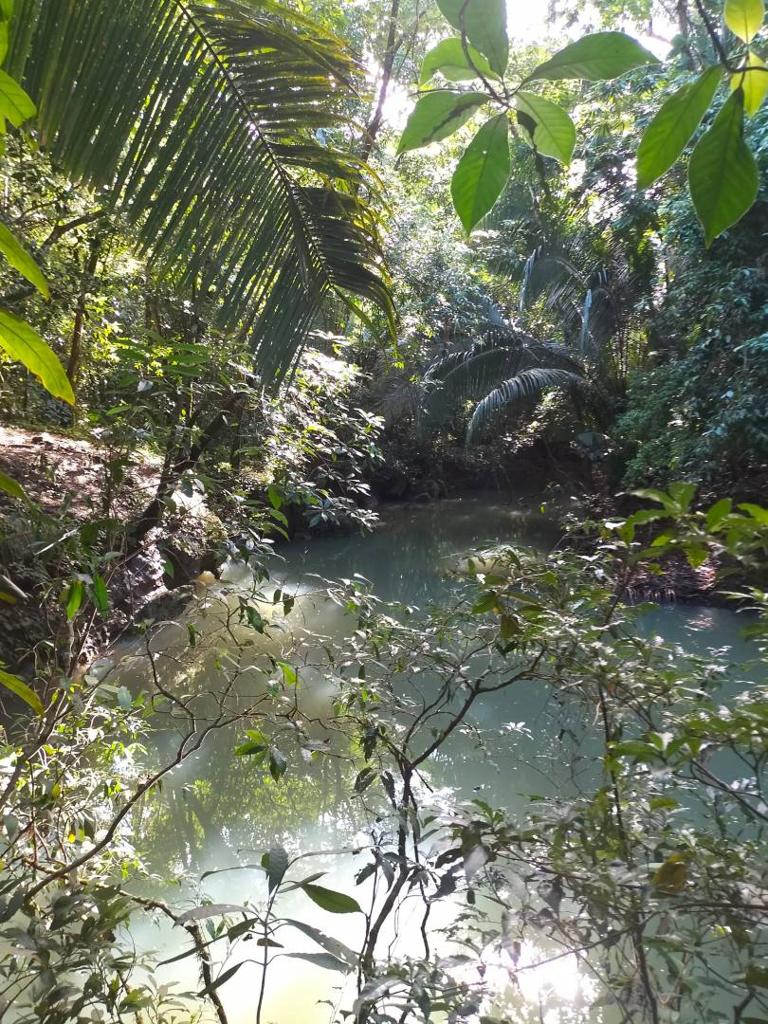 listing image with ID 65529