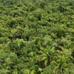 listing image thumbnail with ID 67082