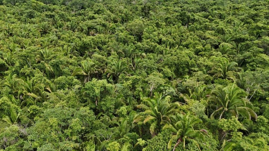 listing image with ID 67082