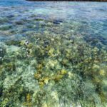 listing image thumbnail with ID 66839