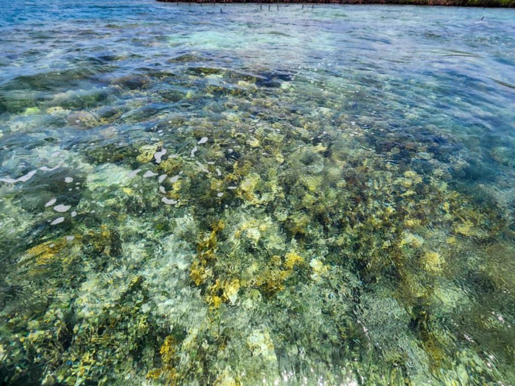 listing image with ID 66839