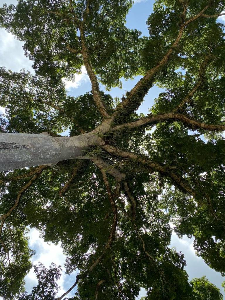 listing image with ID 67663