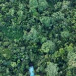 listing image thumbnail with ID 66903