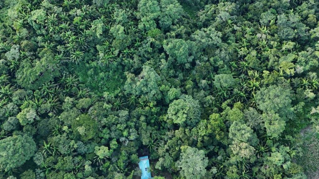 listing image with ID 66903