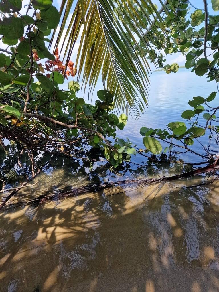 listing image with ID 64496