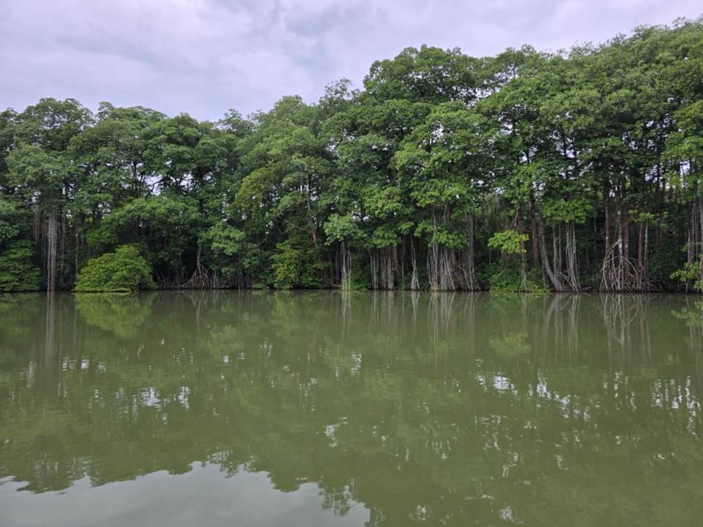 listing image with ID 65458