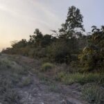 listing image thumbnail with ID 65434