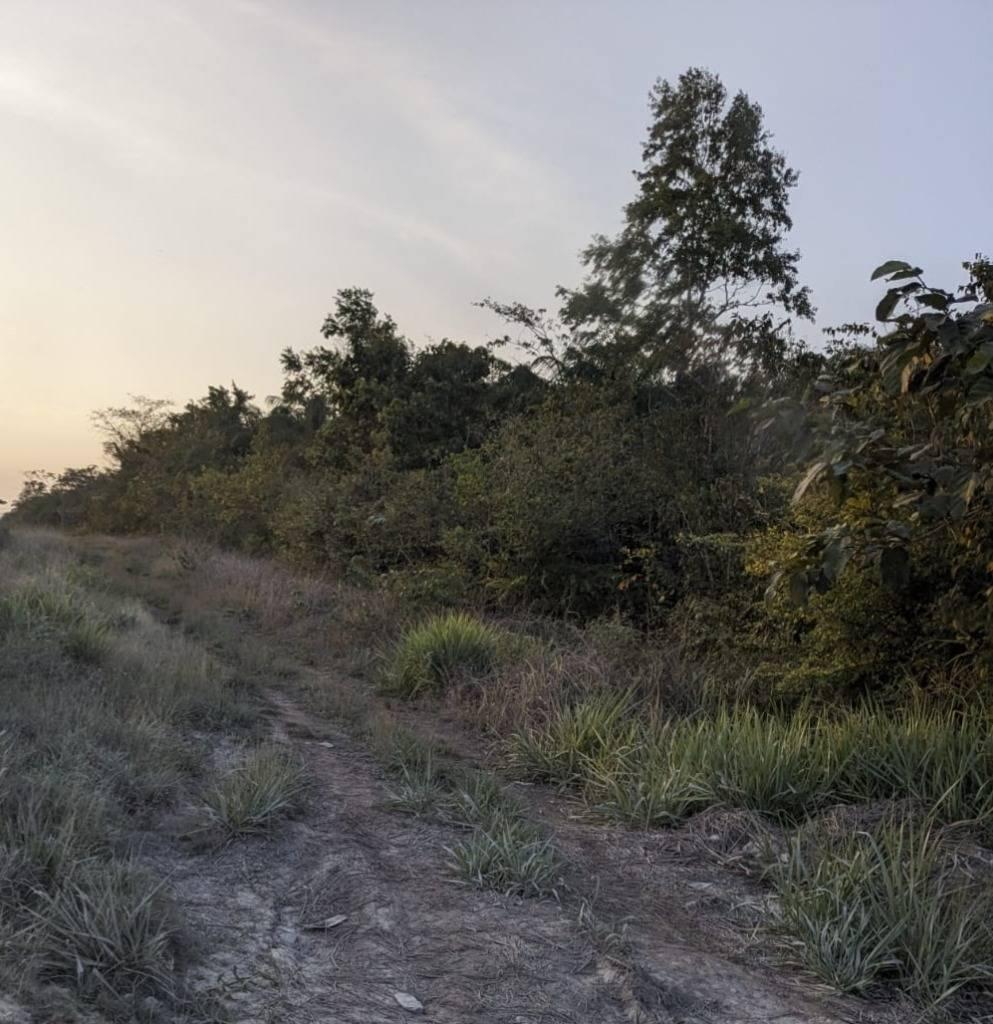 listing image with ID 65434