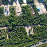 listing image thumbnail with ID 67810