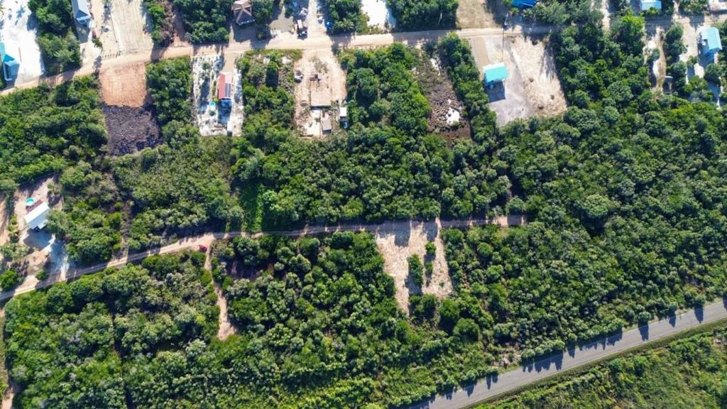 listing image with ID 67810