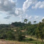 listing image thumbnail with ID 65204