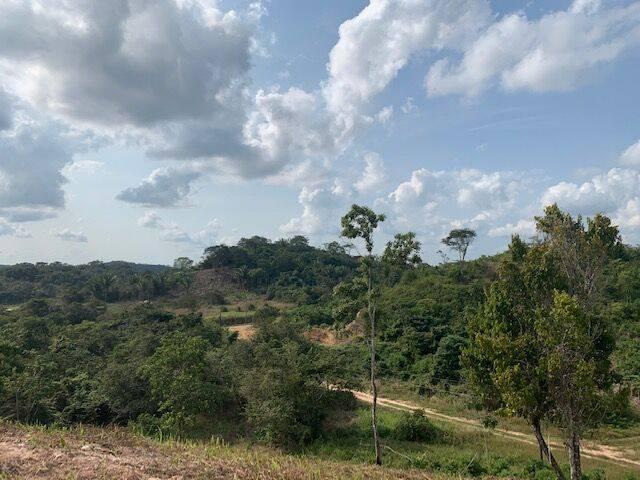 listing image with ID 65204