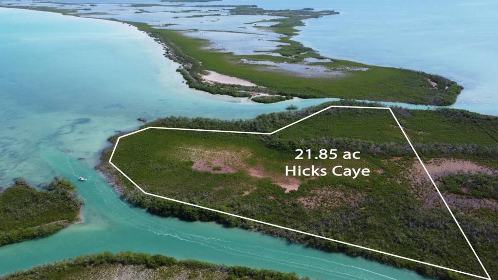 listing image with ID 65992