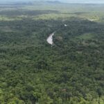 listing image thumbnail with ID 65448