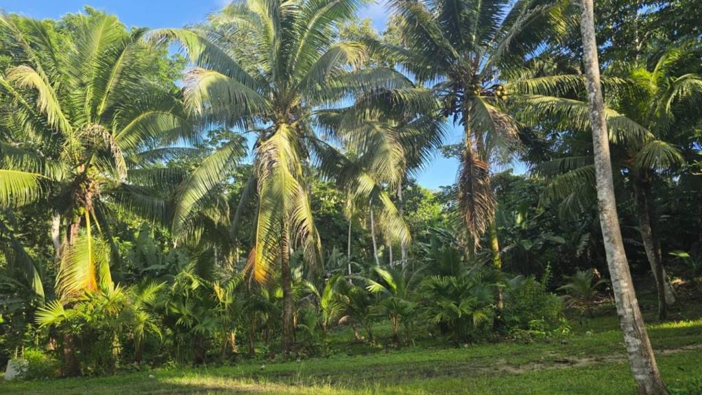 listing image with ID 66902