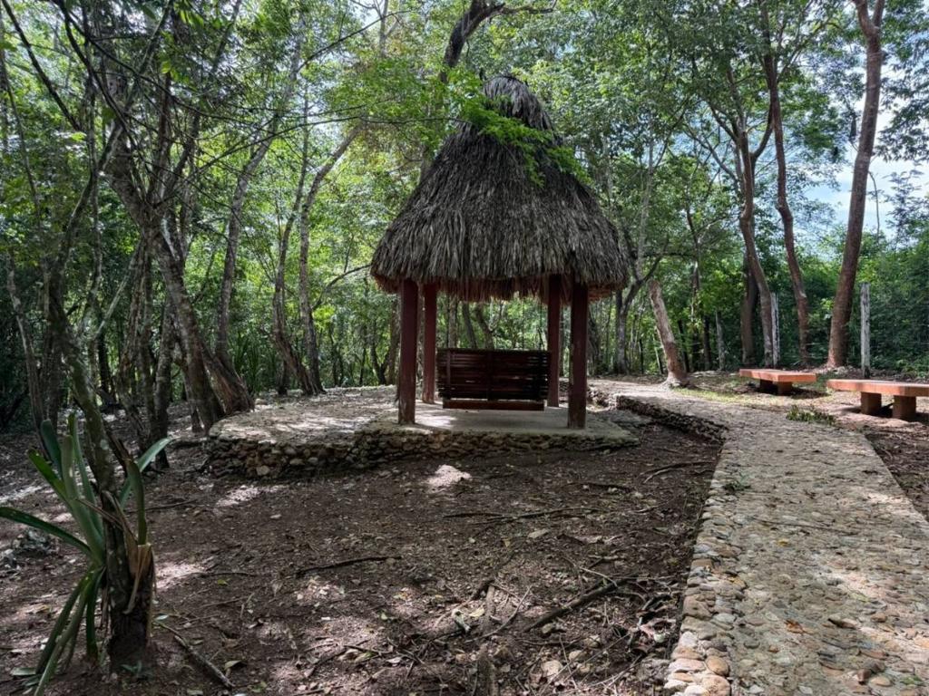 listing image with ID 65607