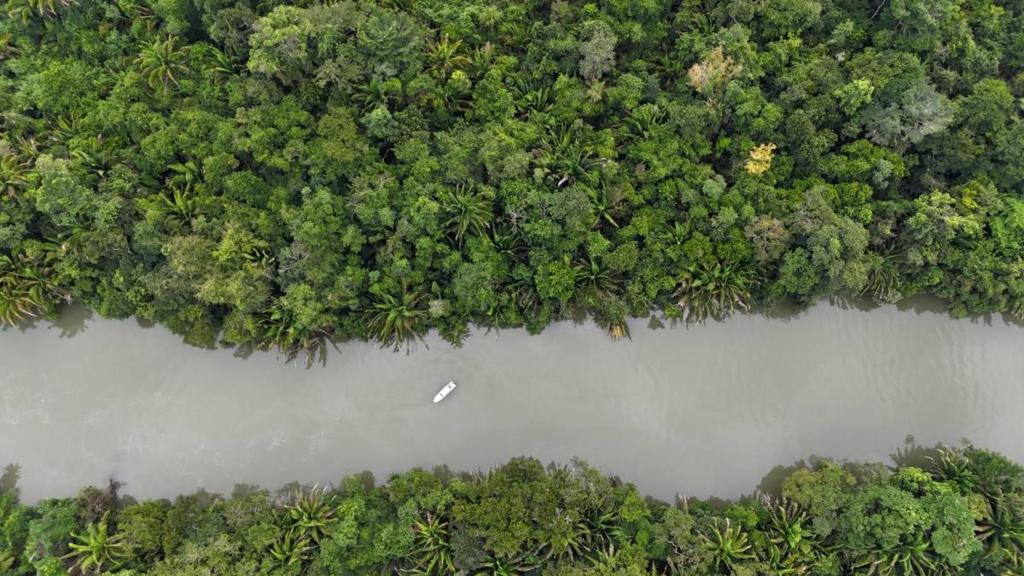 listing image with ID 65441