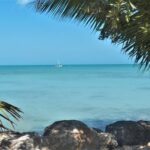 listing image thumbnail with ID 65704