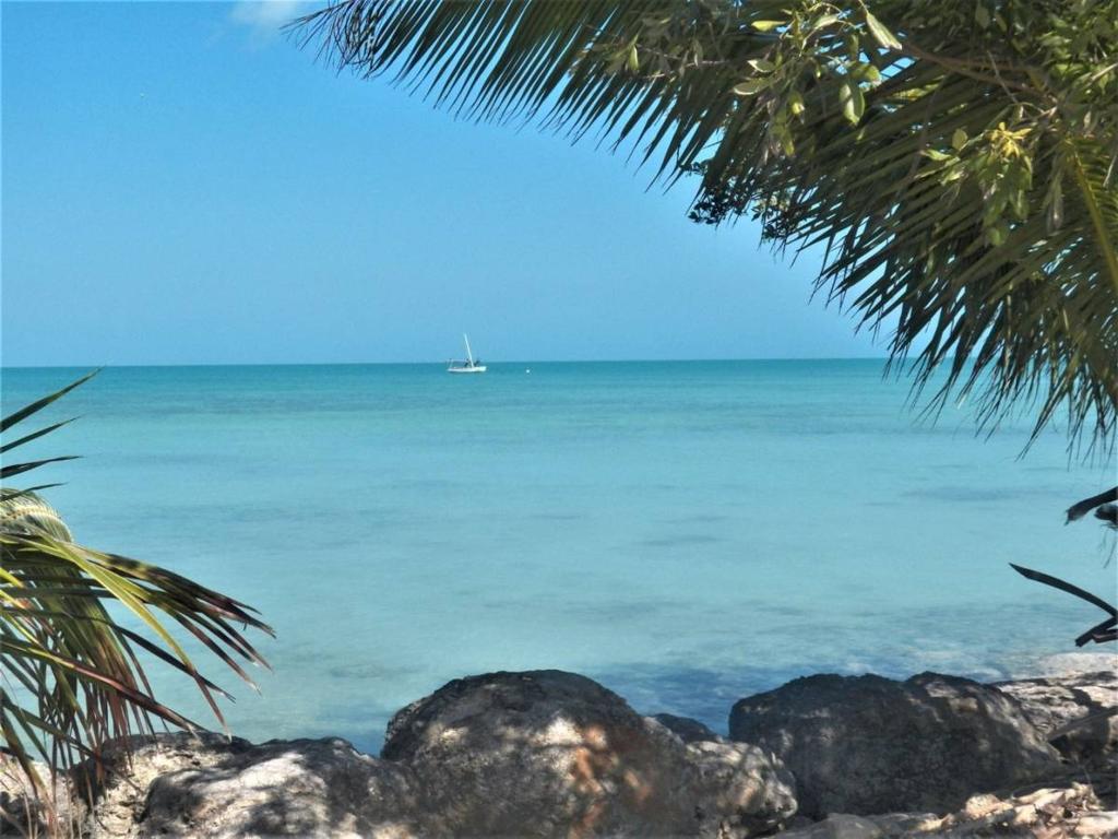 listing image with ID 65704