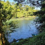 listing image thumbnail with ID 64586