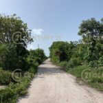 listing image thumbnail with ID 66520