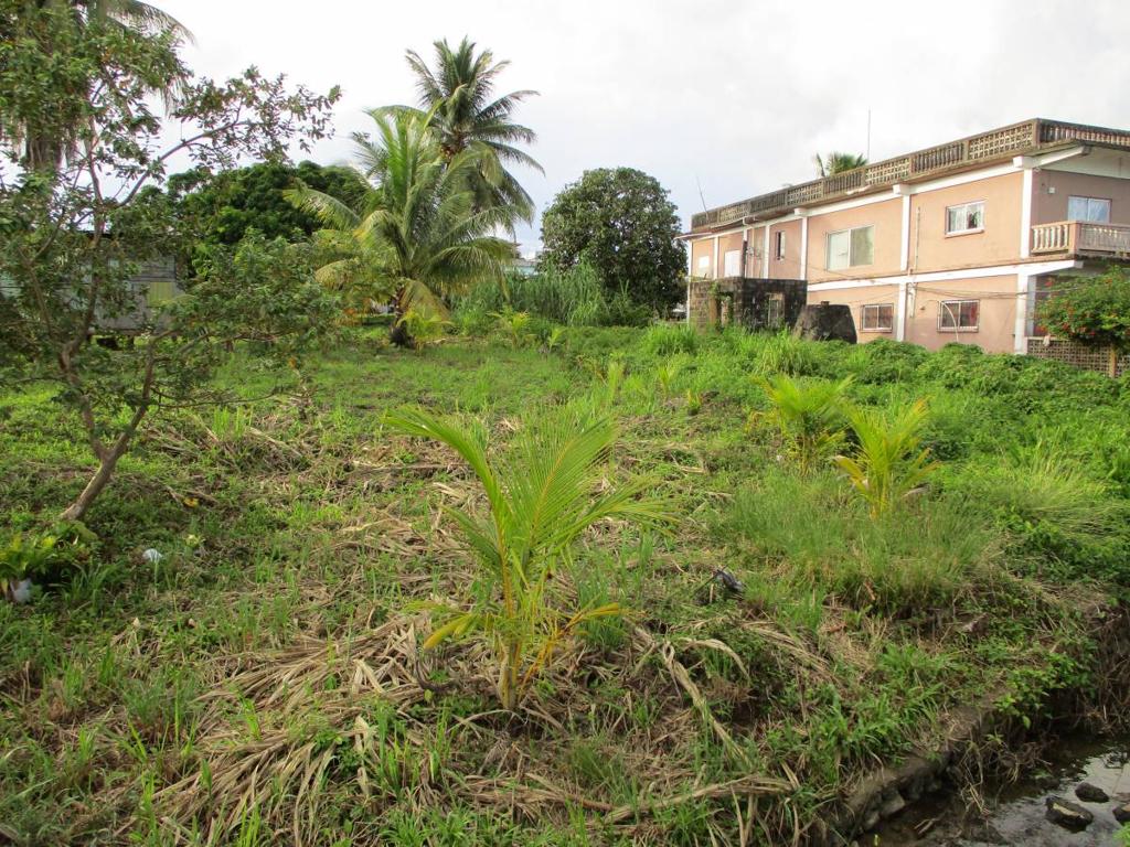 listing image with ID 64159