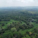 listing image thumbnail with ID 64871