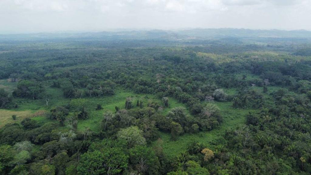 listing image with ID 64871