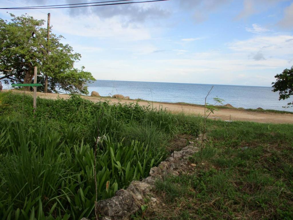 listing image with ID 64155