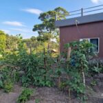 listing image thumbnail with ID 64936