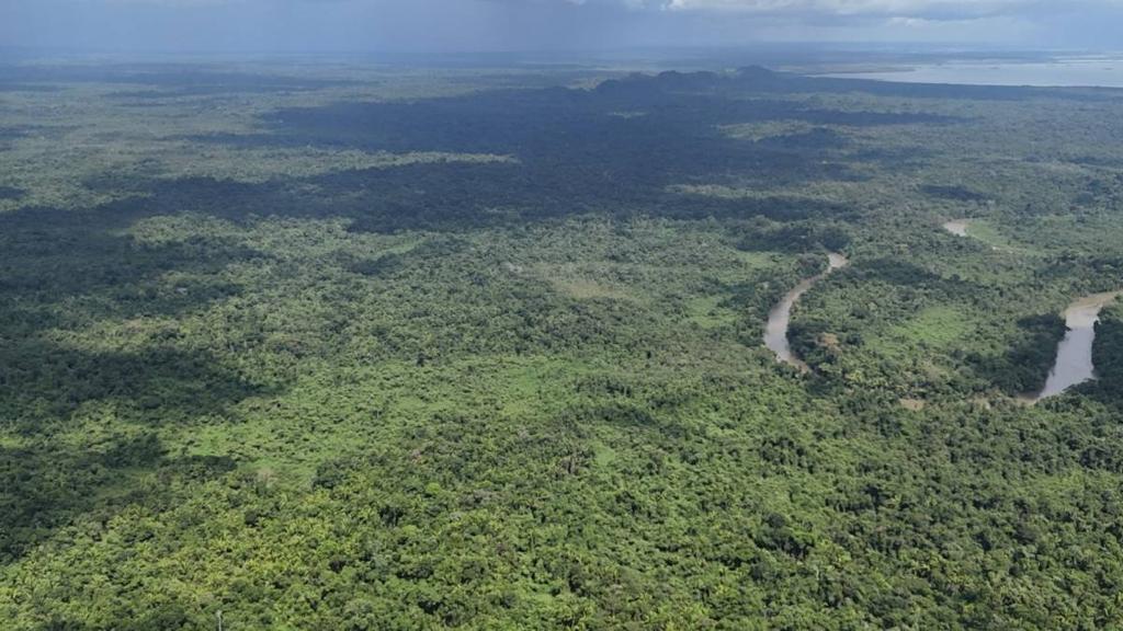 listing image with ID 65446