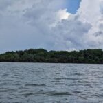 listing image thumbnail with ID 63705