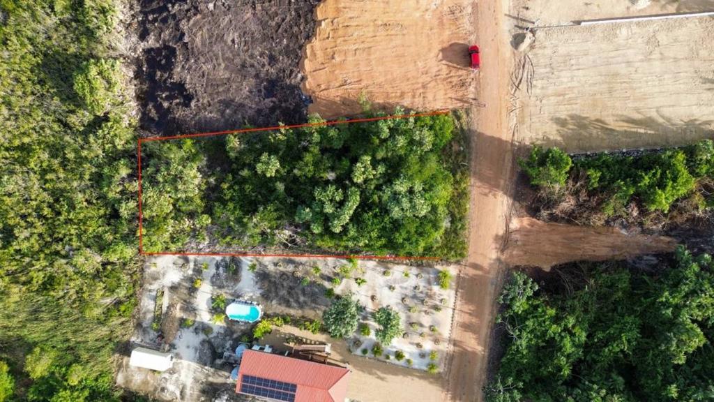 listing image with ID 63867