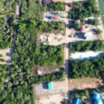 listing image thumbnail with ID 67798