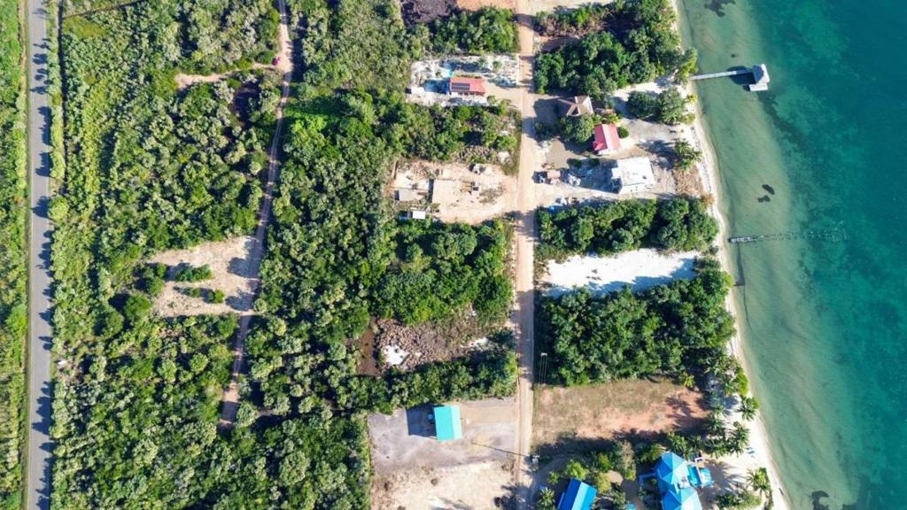 listing image with ID 67798