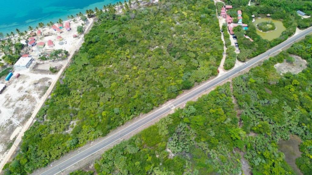 listing image with ID 66241