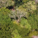 listing image thumbnail with ID 65115