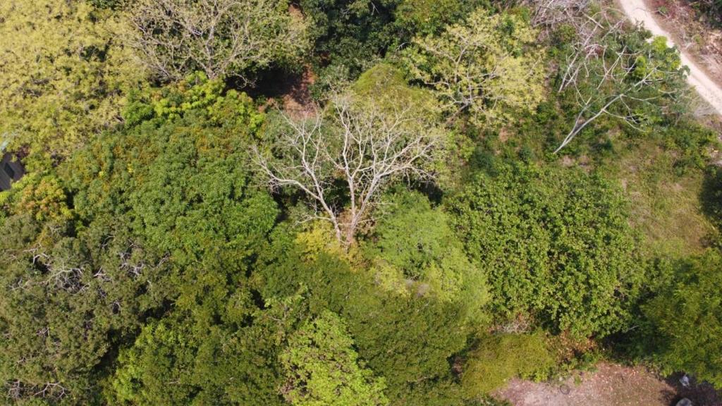 listing image with ID 65115